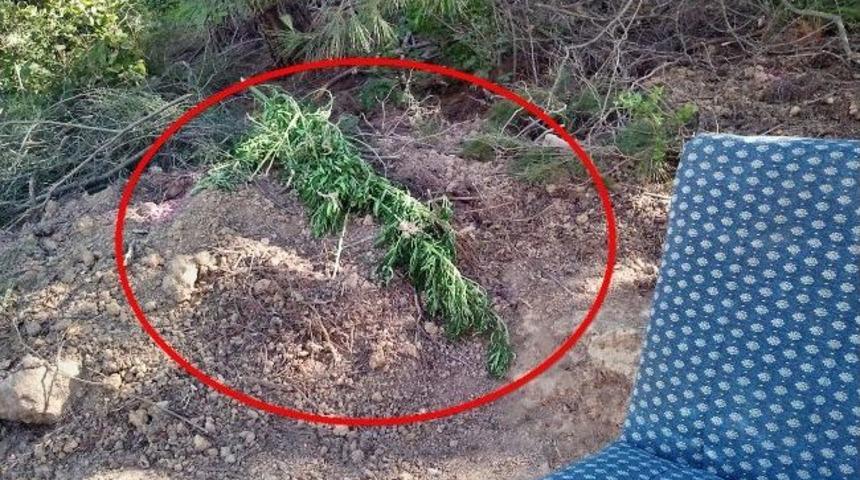 S&ouml;ke'de Uyuşturucu Operasyonu