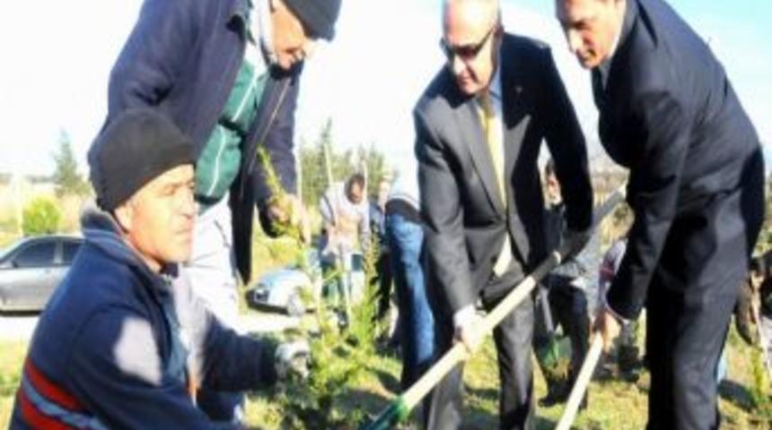 2 Bin 500 Fidan Toprakla Buluşacak