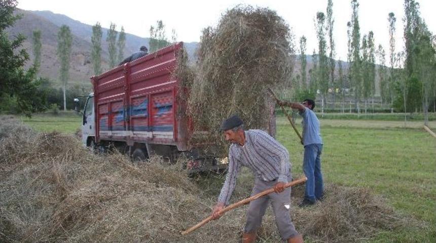 Tekeli K&ouml;yl&uuml;leri Ot Bi&ccedil;imine Başladılar