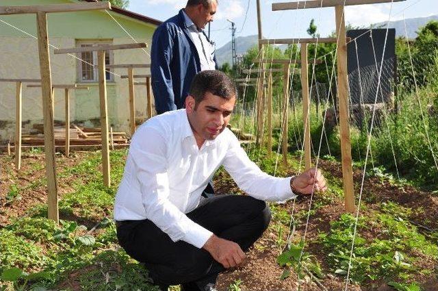 Hizan’da Deneme Sebze Bahçesi Kuruldu