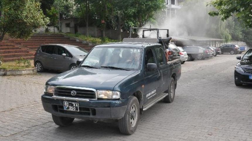 Ak&ccedil;akoca Belediyesinin Sinekle M&uuml;cadelesi