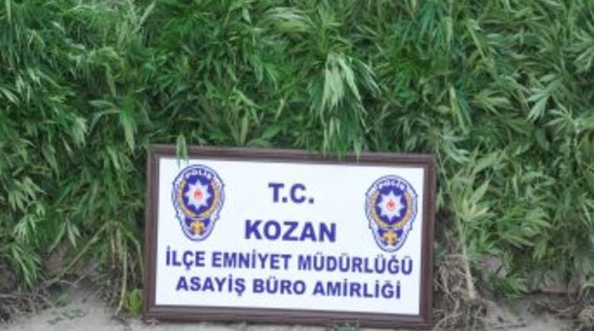 Kozan&rsquo;da Hint Keneviri Operasyonu