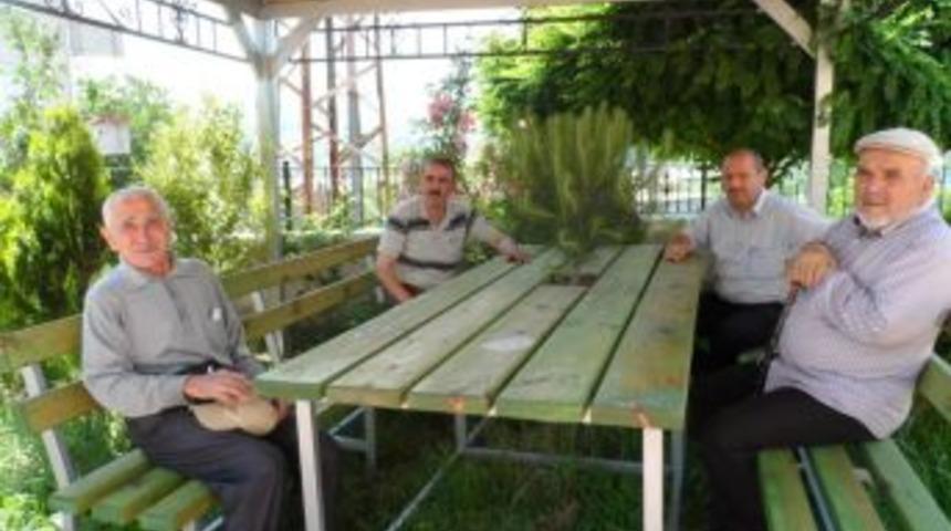 &Ccedil;evreci muhtar ağaca kıyamadı