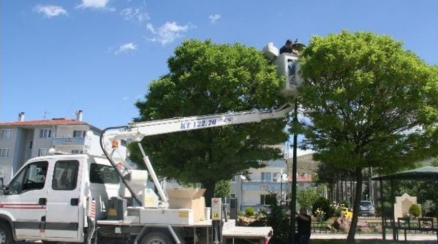 Parklardaki Aydınlatmalara Bakım