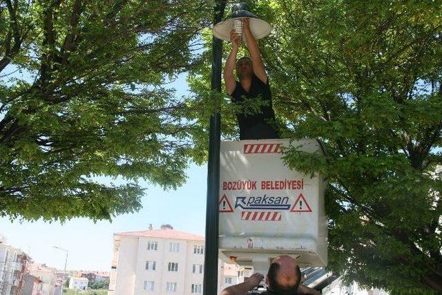 Parklardaki Aydınlatmalara Bakım 1