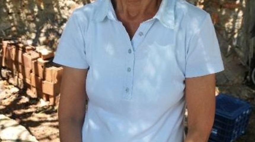 Kayıp Şahsı &Ouml;zel Eğitimli K&ouml;pek Arıyor