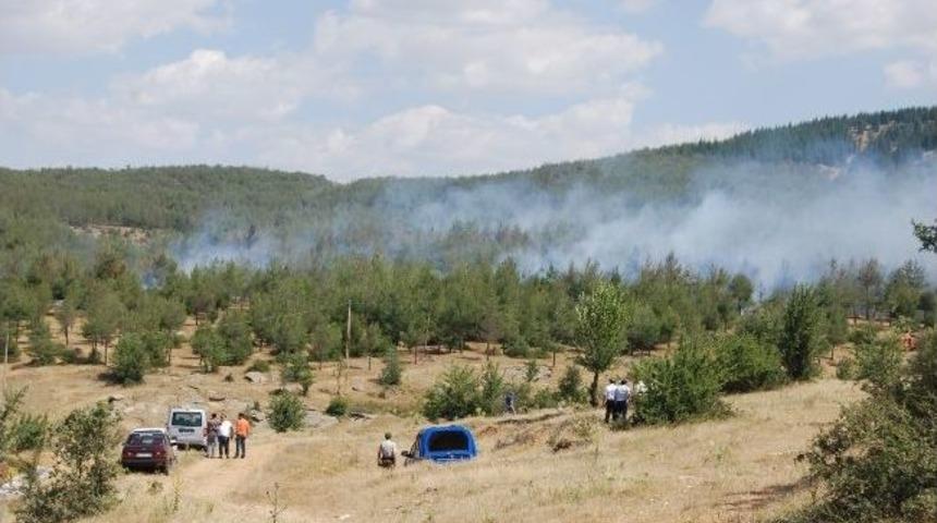 Eşme&rsquo;de Orman Yangını