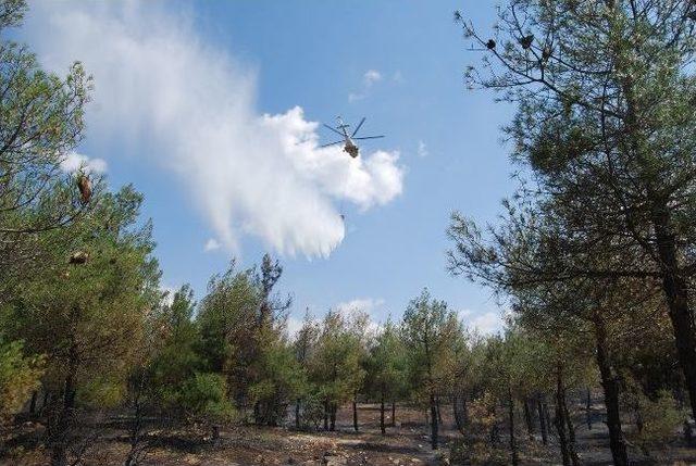 Eşme’de Orman Yangını 1