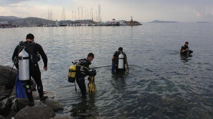 Lioslar Urla Sahilini Temizlediler
