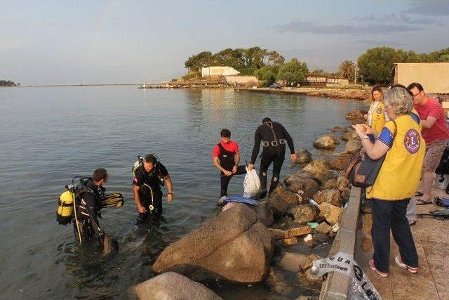 Lioslar Urla Sahilini Temizlediler 2