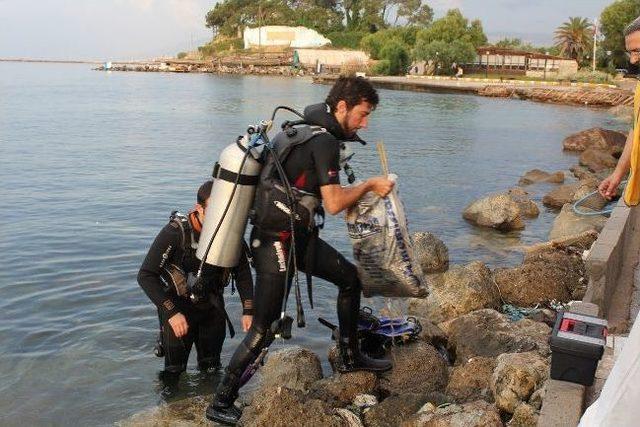 Lioslar Urla Sahilini Temizlediler 3