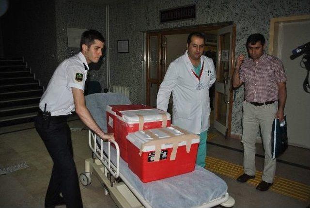 Ağa&ccedil;tan D&uuml;ş&uuml;p &Ouml;len Şahıs Organlarıyla Hayata Bağlayacak 1