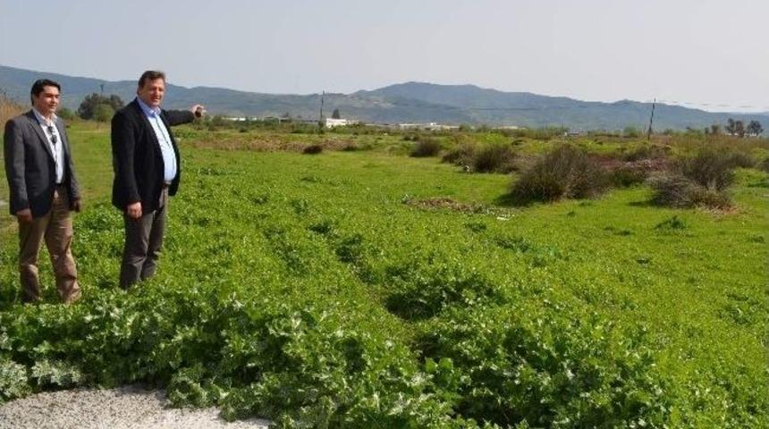 Aydın Soğuk Hava Tesisi İ&ccedil;in G&uuml;n Sayıyor