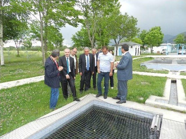 Su &Uuml;r&uuml;nleri Fak&uuml;ltesi ne M&uuml;steşar Yardımcısı Ve Genel M&uuml;d&uuml;rden Ziyaret 1