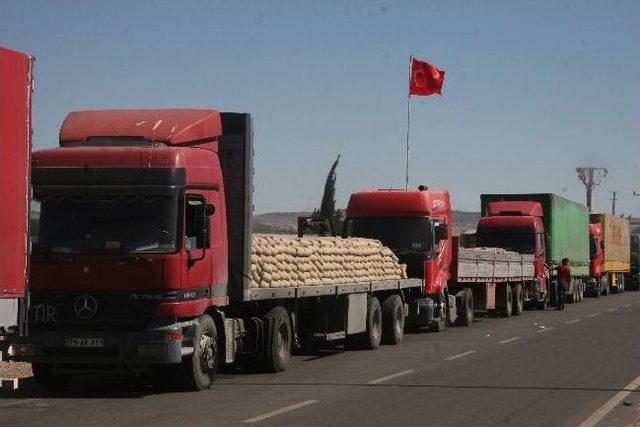 Savaşta Yıkılan Evlerin İnşası Türk Çimentosu İle Yapılıyor 1
