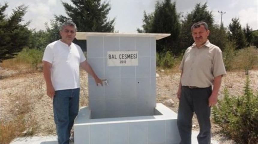 Mersin'de Bal Ormanları Ve Defne Envanter Sahaları Denetlendi