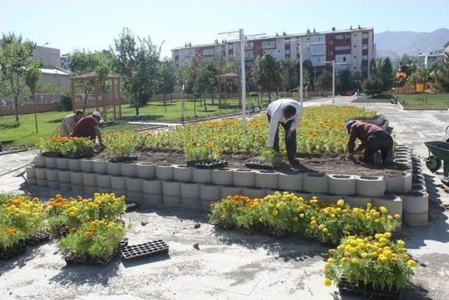 Palandöken İlçesi Rengârenk