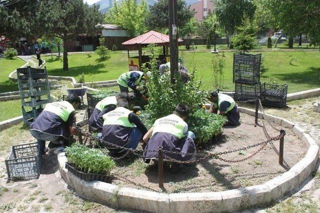 Palandöken İlçesi Rengârenk