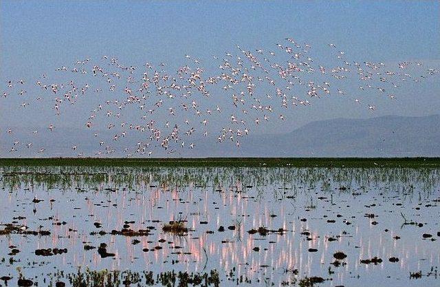 Sulak Alanlar Koruma Altına Alınıyor