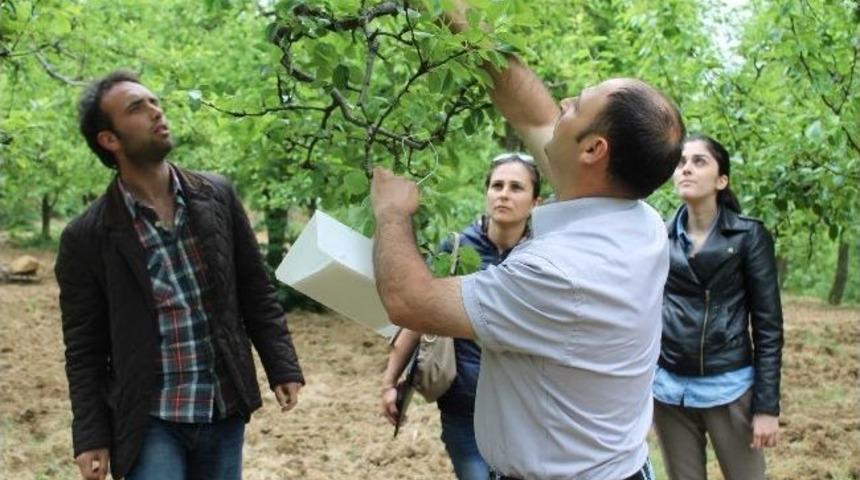Kocaeli&rsquo;de Tarım Arazilerinde İla&ccedil;sız M&uuml;cadele Kullanılıyor