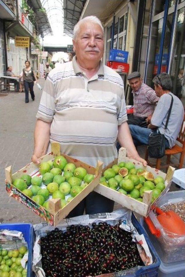 Tezeren İncirler Tezgahta Yerini Aldı 1