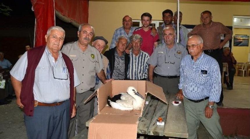 K&ouml;yl&uuml;lerin Leylek Seferberliği