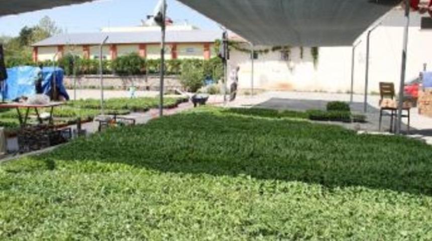 Erzincan &ldquo;marka Şehir&rdquo; Yolunda Hızla İlerliyor