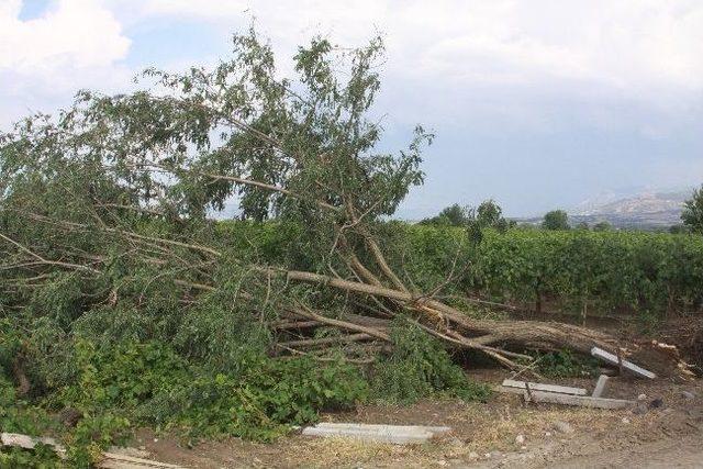 Saruhanlı da 432 &Ccedil;ift&ccedil;i Dolu Mağduru 1