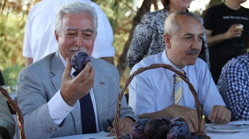 Meyve Bayramında 'Adana'nın En G&uuml;zel Eriği' Se&ccedil;ildi