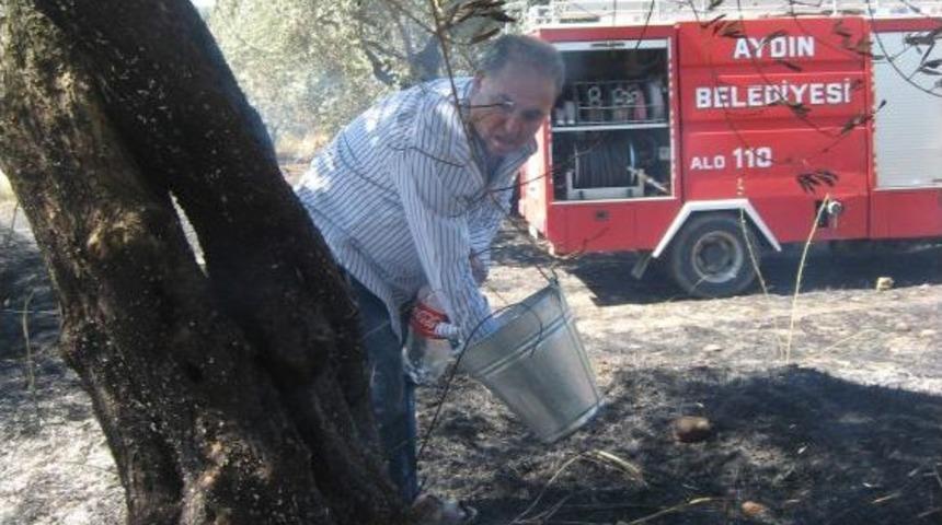 Aydın'da Zeytinlik Alanda &Ccedil;ıkan Yangın Ge&ccedil; M&uuml;dahale Nedeniyle B&uuml;y&uuml;d&uuml;
