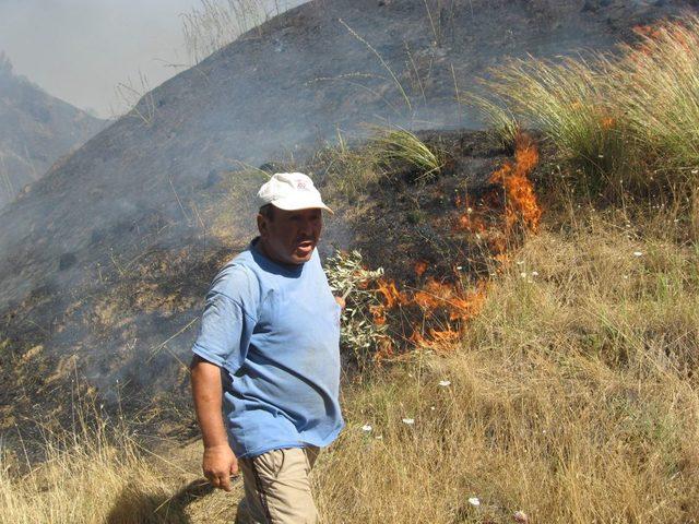 Aydın'da Zeytinlik Alanda Çıkan Yangın Geç Müdahale Nedeniyle Büyüdü