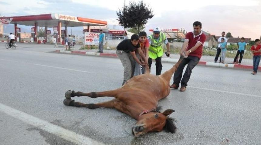 &Ccedil;ocukların Kovaladığı At Kamyonetin Altında Can Verdi