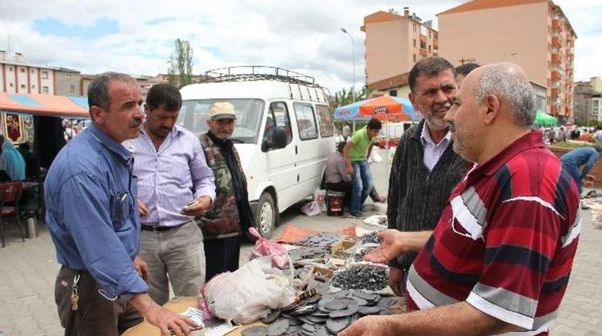 Nalmıh&ccedil;ıların Y&uuml;z&uuml; G&uuml;l&uuml;yor
