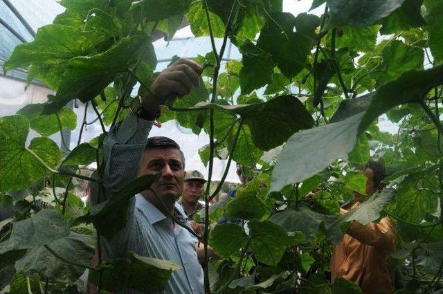 Batman Valisi Arslan Yenik&ouml;y de İncelemelerde Bulundu 1