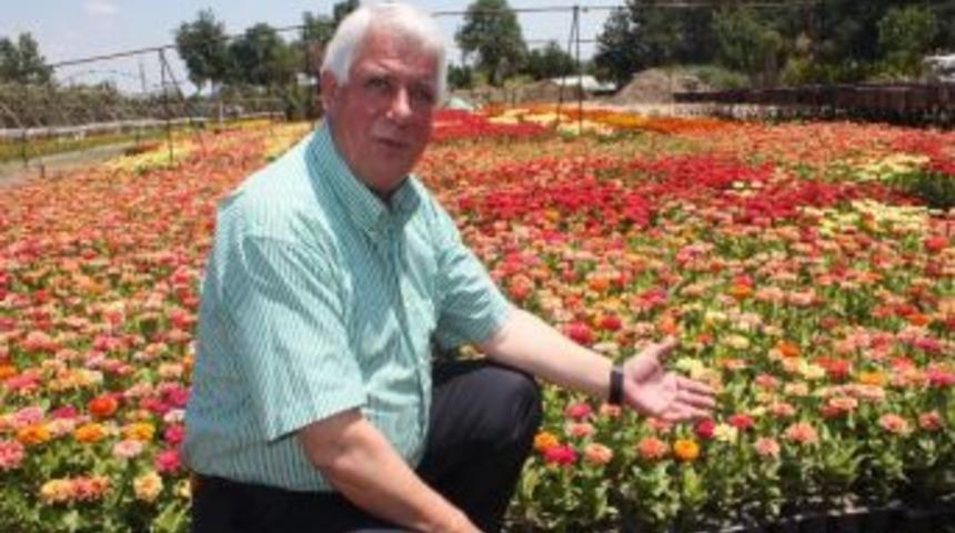 Edirne Belediyesi Kentin &Ccedil;elitli B&ouml;lgelerine Toplam 600 Bin &Ccedil;i&ccedil;ek Ekecek