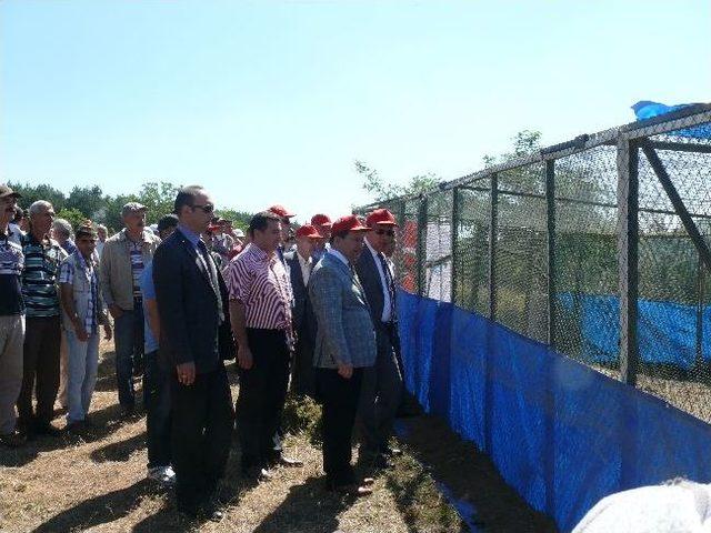 Bilecik te 500 Kınalı Keklik Doğaya Salındı 2