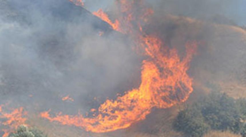 Aydın'da alevler evlere dayandı