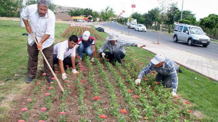 Elazığ'a 700 Bin &Ccedil;i&ccedil;ek Dikildi