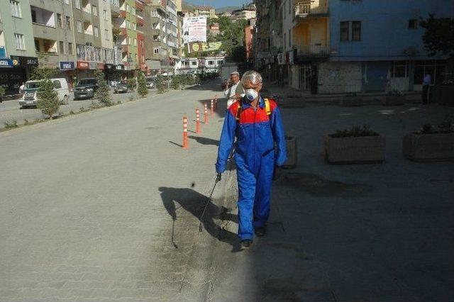 Hakkari’de Haşere Ve Sivrisinekle Mücadele Çalışması 1