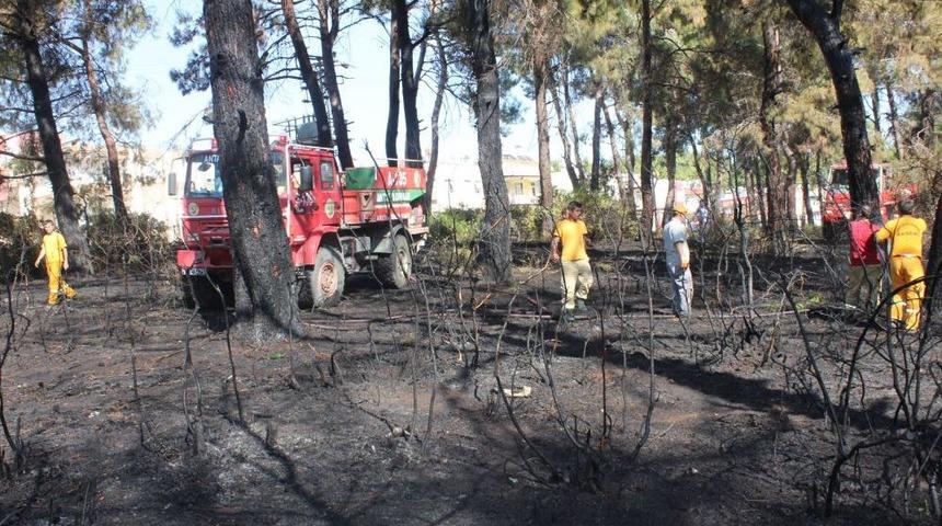 Manavgat'ta &Ccedil;ıkan Yangında 7 D&ouml;n&uuml;ml&uuml;k Ormanlık Alan Zarar G&ouml;rd&uuml;