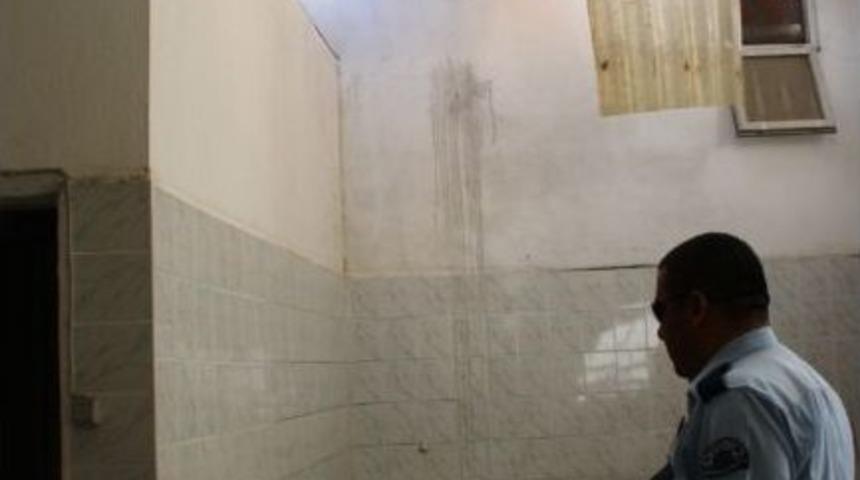 (&ouml;zel) İncir Ağacını Budarken Canından Oldu