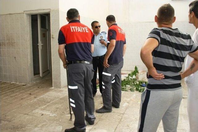 (özel) İncir Ağacını Budarken Canından Oldu 1