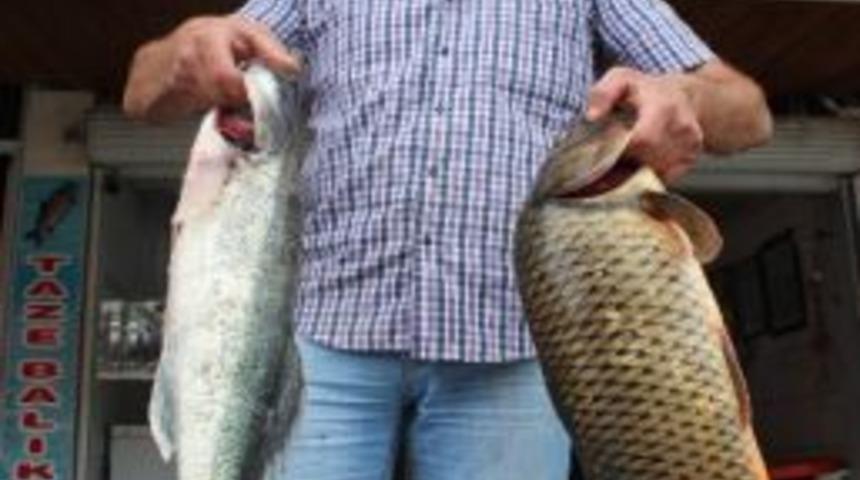 Beyşehir&rsquo;de Balıklar Tezgahları S&uuml;slemeye Başladı