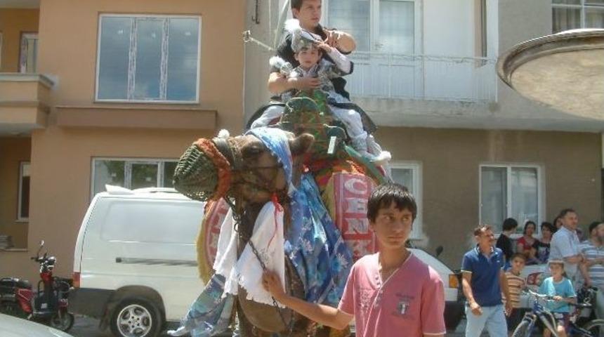 Burhaniye&rsquo;de Deve İle S&uuml;nnet &Ccedil;ocuğu Gezdirme Geleneği