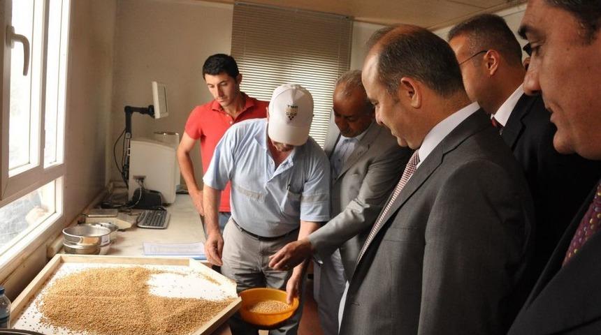 Vali Aydın, Bi&ccedil;erd&ouml;verin Başına Ge&ccedil;ti, Hasat Bayramı'nın Startını Verdi