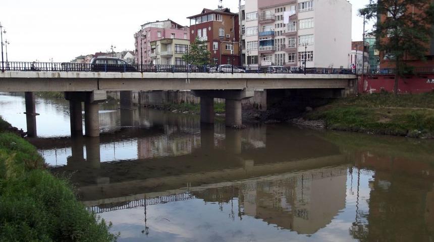 Vatandaş Terme &Ccedil;ayı&rsquo;nın Islahı I&ccedil;in Yetkililerden &Ccedil;&ouml;z&uuml;m Bekliyor