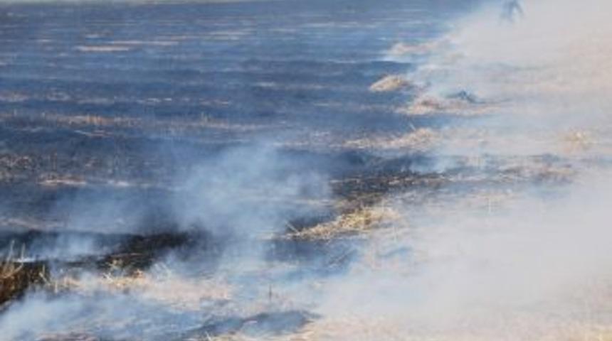 Kontroll&uuml; Anız Yakılmasına İzin Verilecek