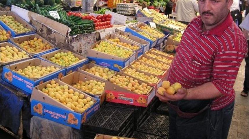 Yaş Kayısılar Kutularla Hediyelik G&ouml;nderiliyor