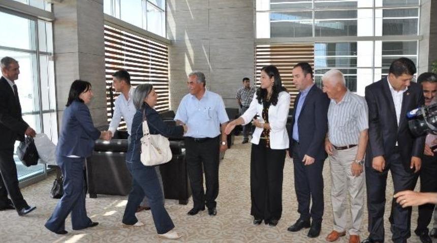 Kışanak: "çözüm Süreciyle İlgili Şu Ana Kadar Hiçbir Adım Atılmış Değil"