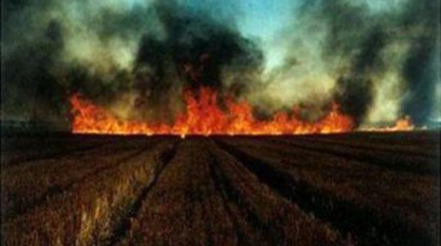 Anızı Doğal G&uuml;bre Olarak Kullanmayan &Ccedil;ift&ccedil;i G&uuml;breye Binlerce Lira &Ouml;d&uuml;yor